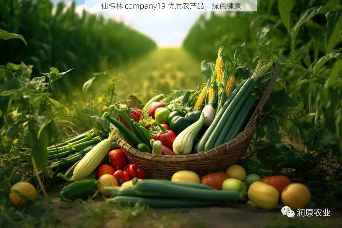 仙棕林 company19 优质农产品，绿色健康