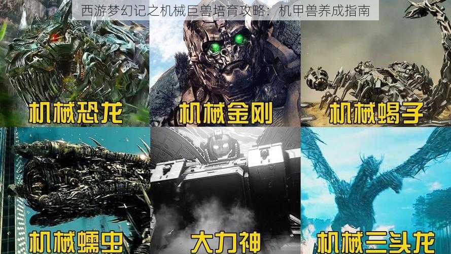 西游梦幻记之机械巨兽培育攻略：机甲兽养成指南