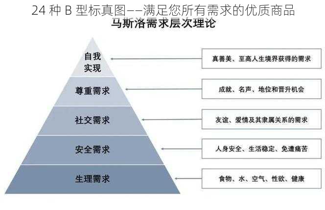 24 种 B 型标真图——满足您所有需求的优质商品