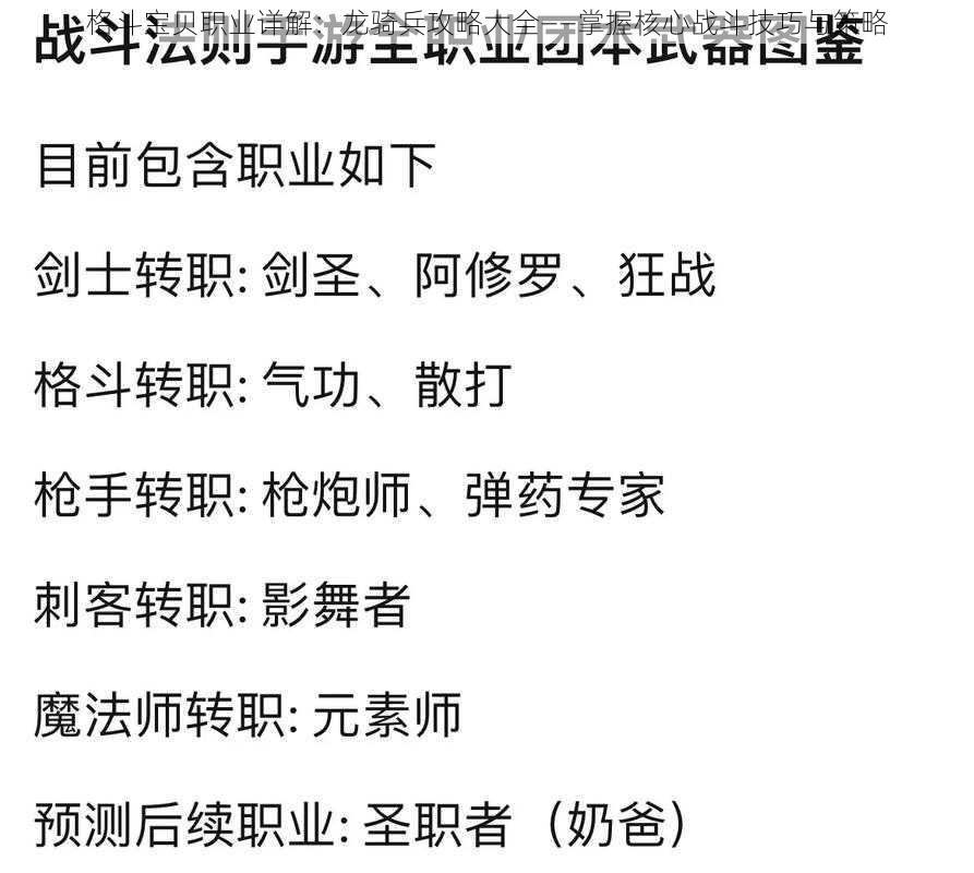 格斗宝贝职业详解：龙骑兵攻略大全——掌握核心战斗技巧与策略