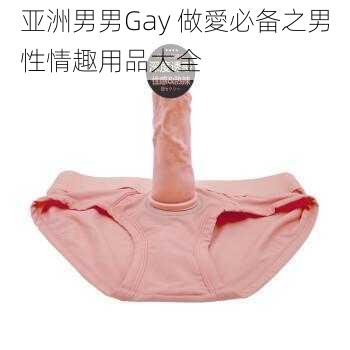 亚洲男男Gay 做愛必备之男性情趣用品大全