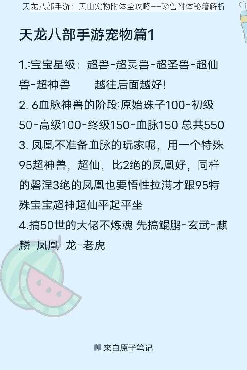 天龙八部手游：天山宠物附体全攻略——珍兽附体秘籍解析