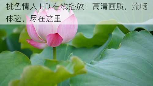 桃色情人 HD 在线播放：高清画质，流畅体验，尽在这里