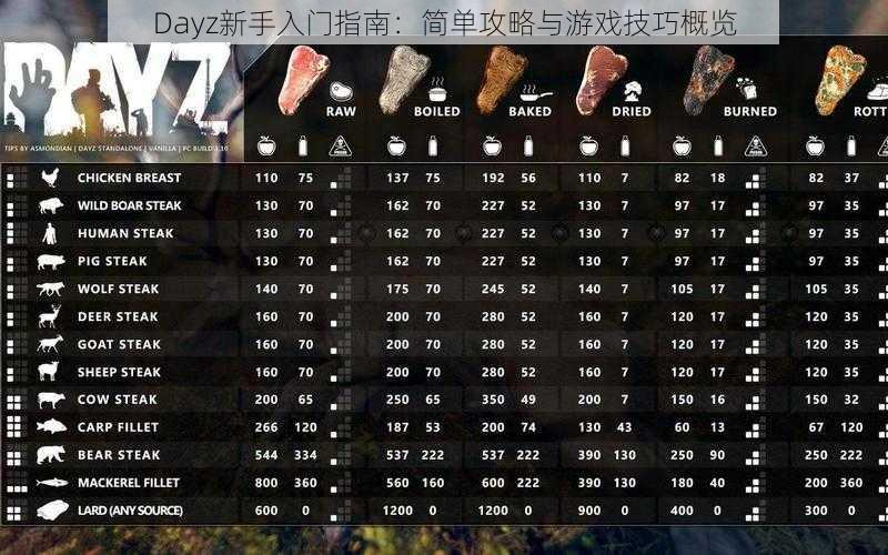 Dayz新手入门指南：简单攻略与游戏技巧概览