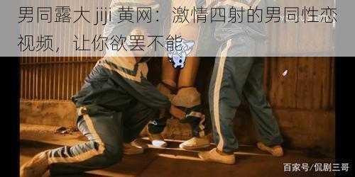 男同露大 jiji 黄网：激情四射的男同性恋视频，让你欲罢不能