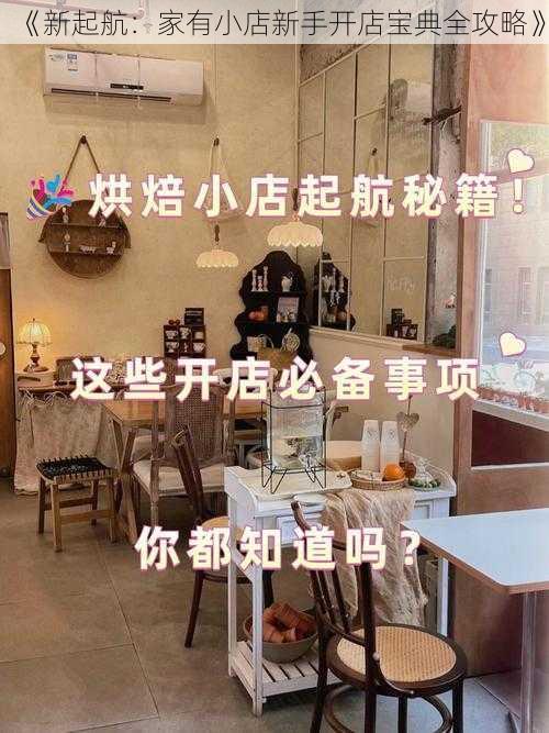 《新起航：家有小店新手开店宝典全攻略》