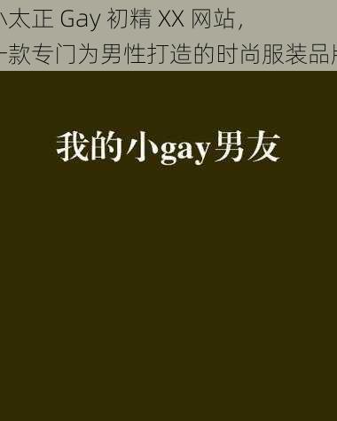 小太正 Gay 初精 XX 网站，一款专门为男性打造的时尚服装品牌